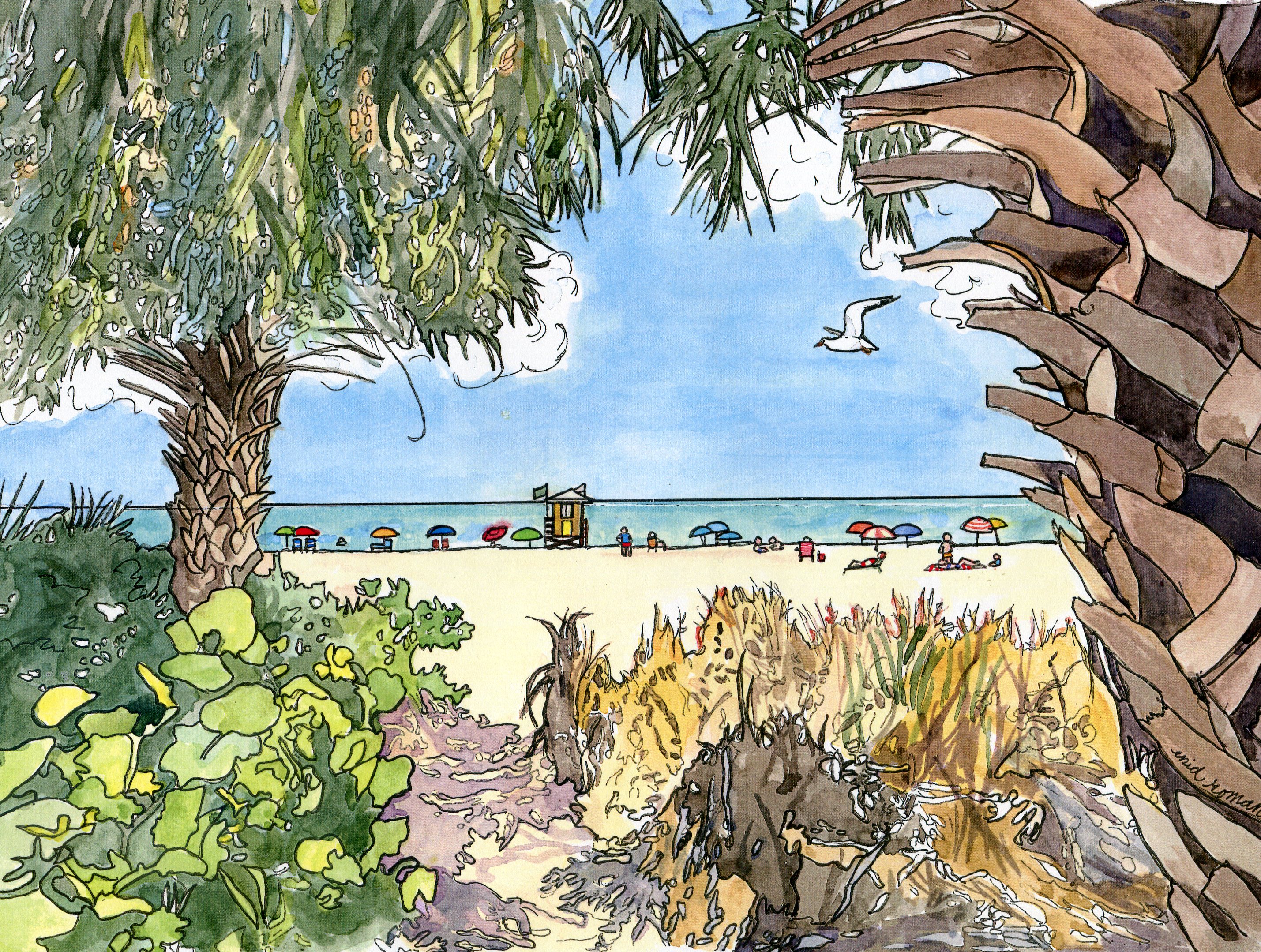 Siesta Key Drum Circle